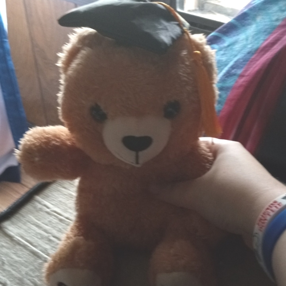 Teddy bear graduating bear